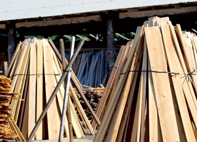 自然乾燥されているヤクイタ