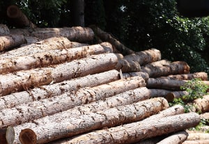 ヤクイタプロジェクトとは