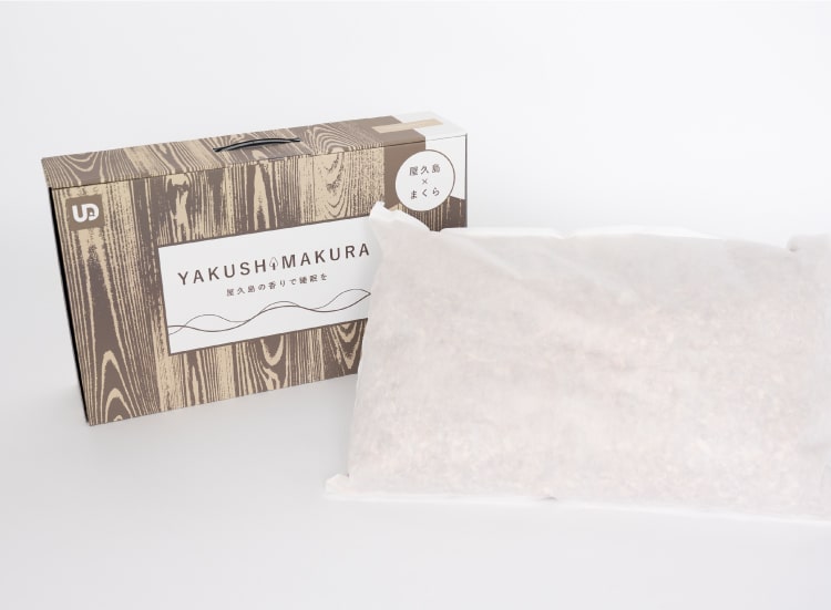 ヤクシマクラの写真1